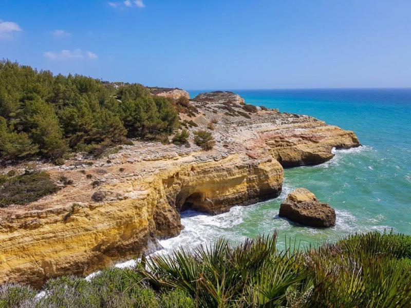 Al Algarve - Alojamento Local Com Excelente Localizacao Carvoeiro  Dış mekan fotoğraf
